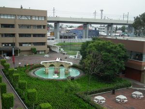 DSCF5208